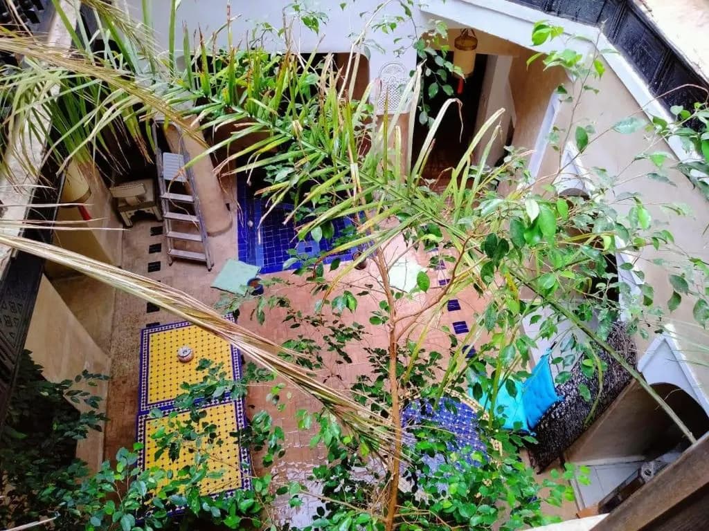 Riad Sabbah - photo 1