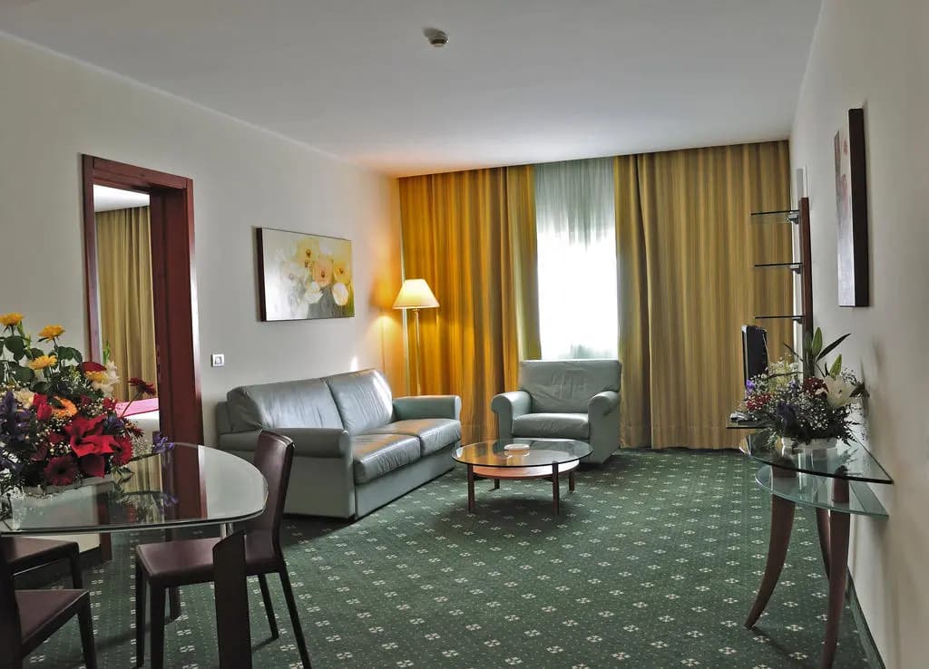 BV Oly Hotel - photo 11