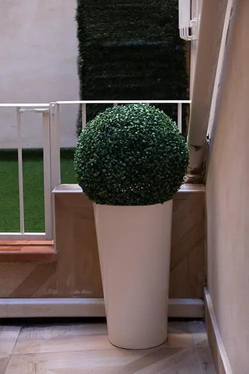 Provenzale Casa - photo 9