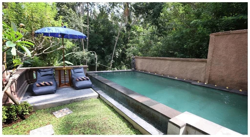 Ubud Harmony Luxury Private Villa - photo 16