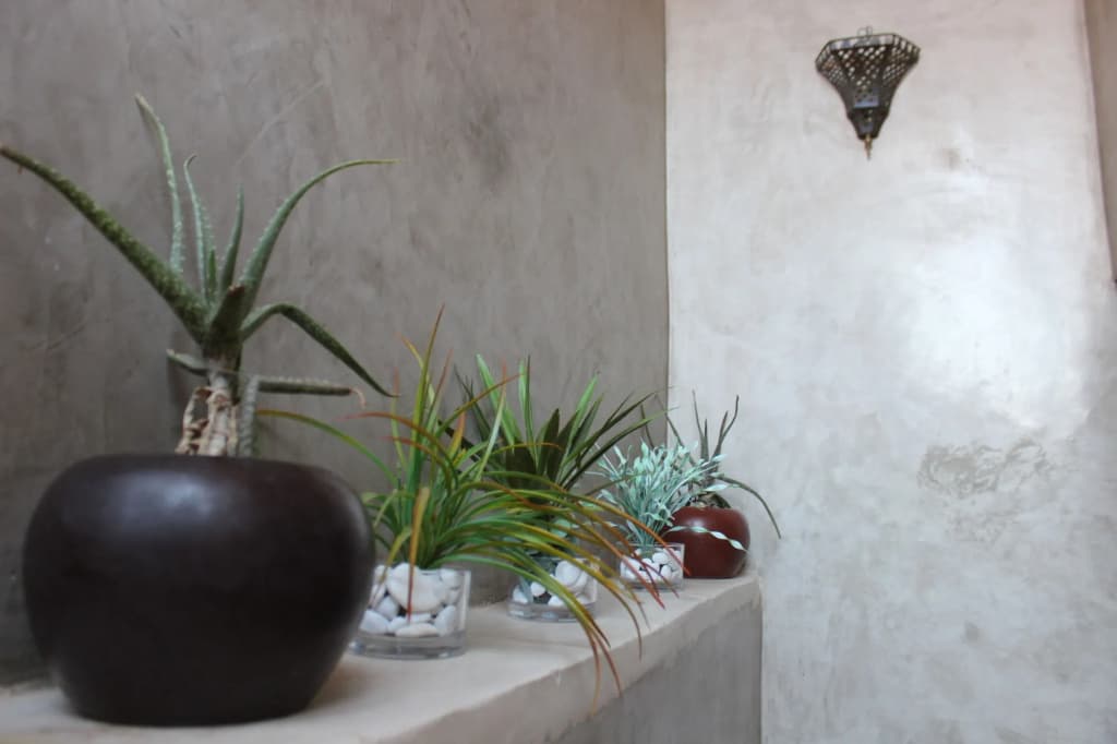 Riad Dar Ftouma - photo 5