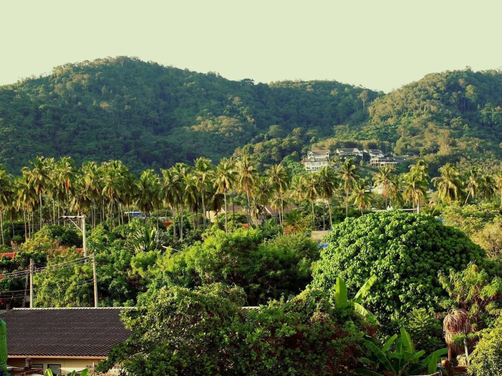 Tropical Sands Guesthouse - photo 18