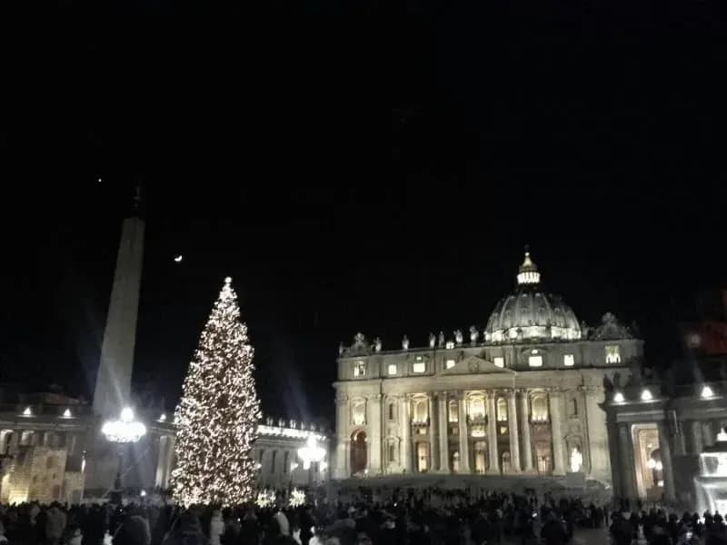 Beatrice Vatican Museum - main photo