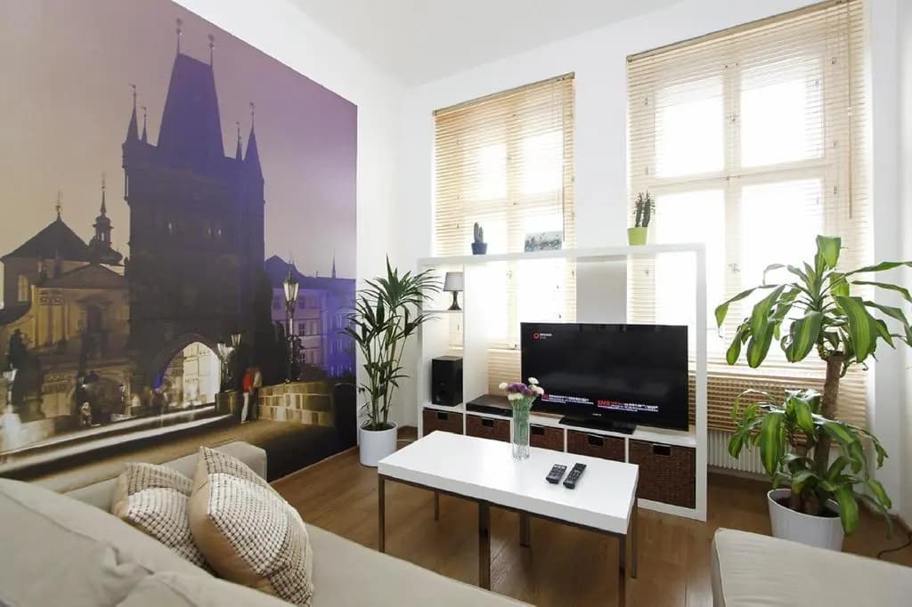 Radlicka Apartments - photo 6