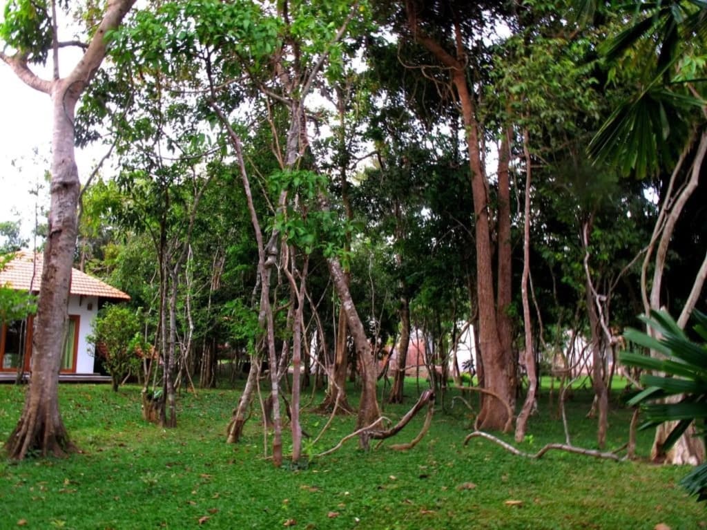 Green Bay Phu Quoc Resort & Spa - photo 25