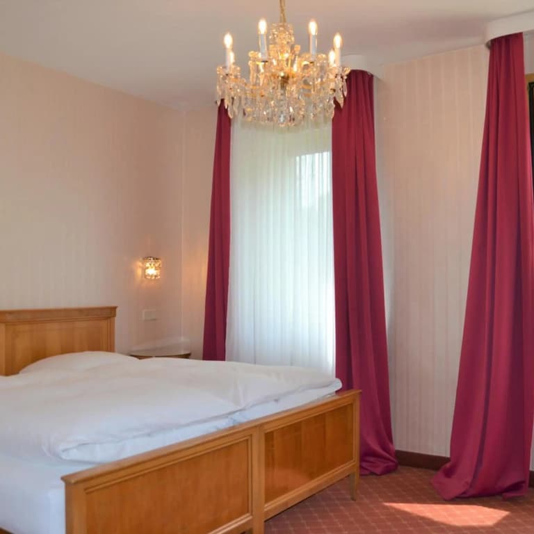 Hotel an der Wien - photo 24