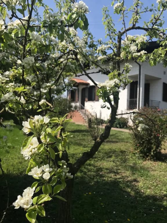 B&B Annaclara - photo 10