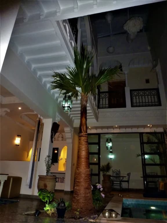 Riad Safina - photo 28