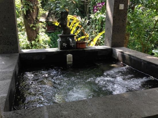 The Bali Shanti - photo 4