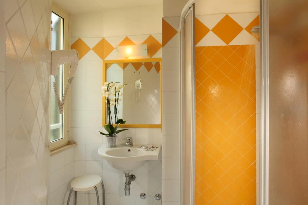 Hotel Alessandrino - photo 8
