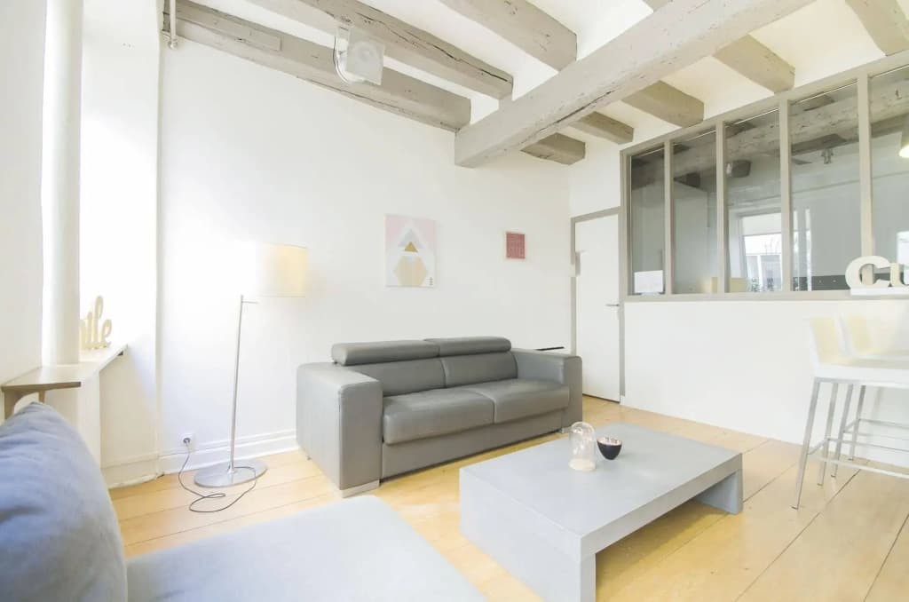 Luxury Apartment in Paris - Marais - photo 3