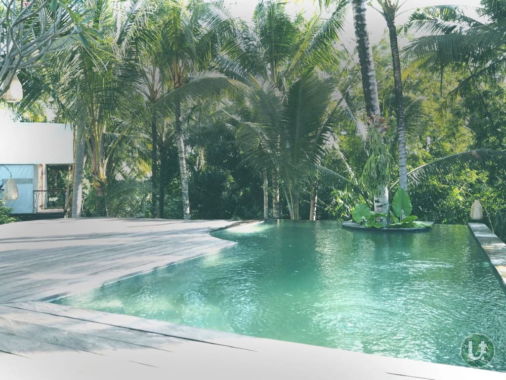 Ubud Tropical - Hostel - photo 11