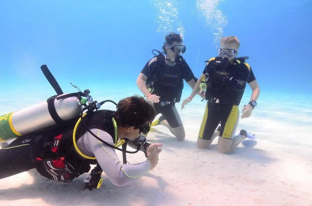Just Surf and Dive Villa - photo 12