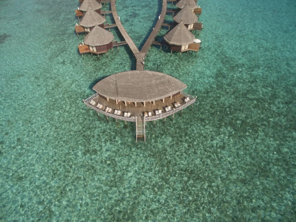 Angaga Island Resort & Spa - photo 21