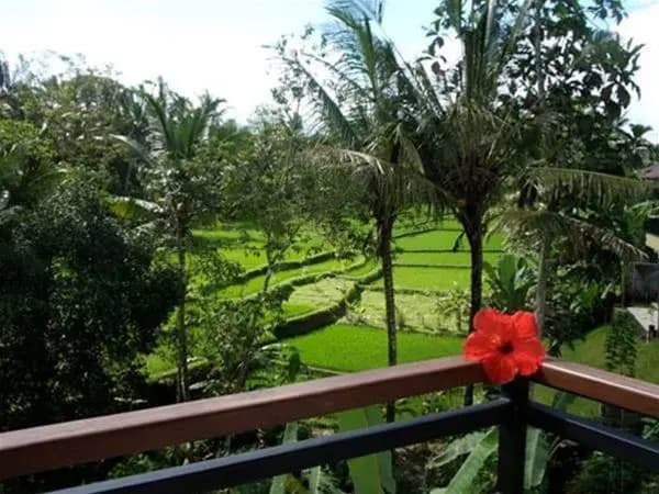 Daysha Ubud - photo 12