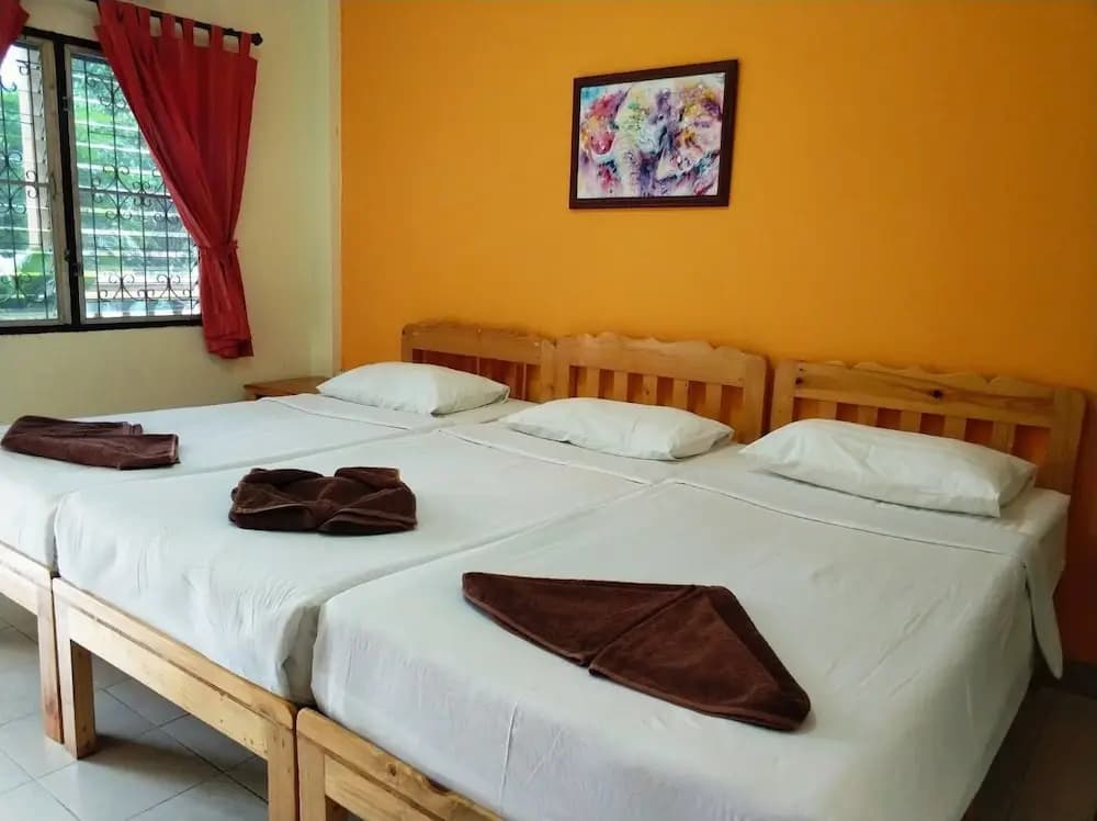 Jungala House - photo 4