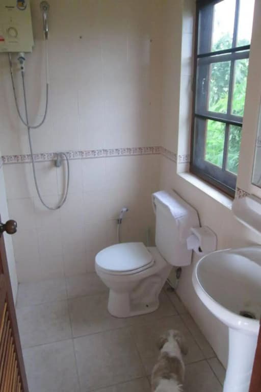 Seajays Resort - photo 9