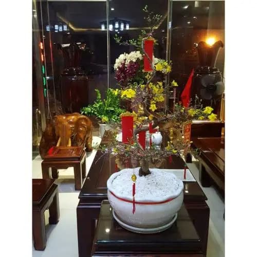 Quang Nhat Hotel - photo 11
