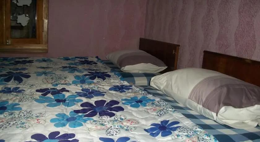 Aleksandre Guest House - photo 5