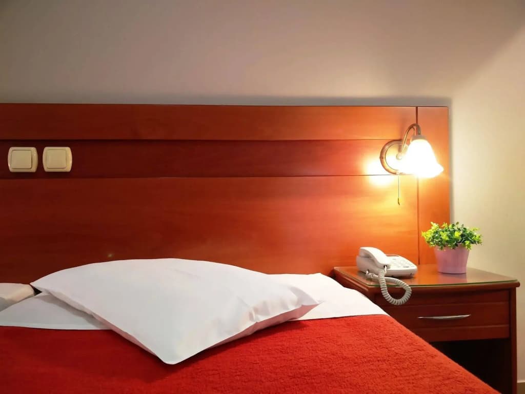 Vienna Hotel - photo 5
