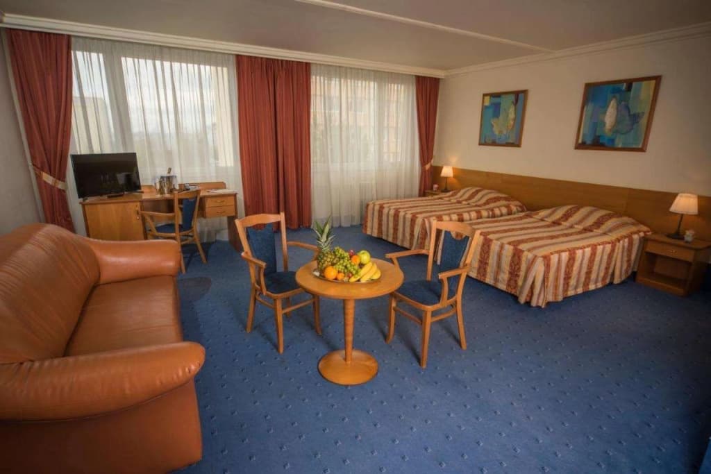 TOP HOTEL Praha & Conference Centre - photo 25