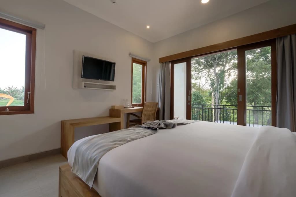 Asanaya Suite - photo 5