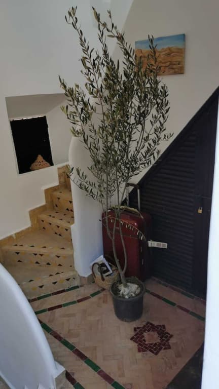 Riad Les ANGES DU DESERT - photo 24