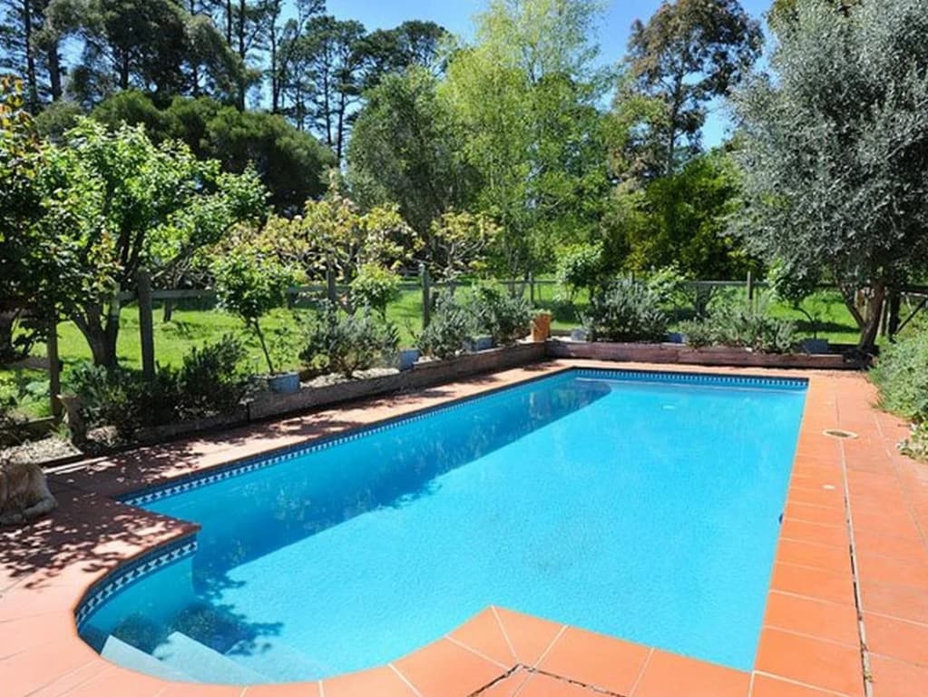 Lavender Farm Hotel - photo 6