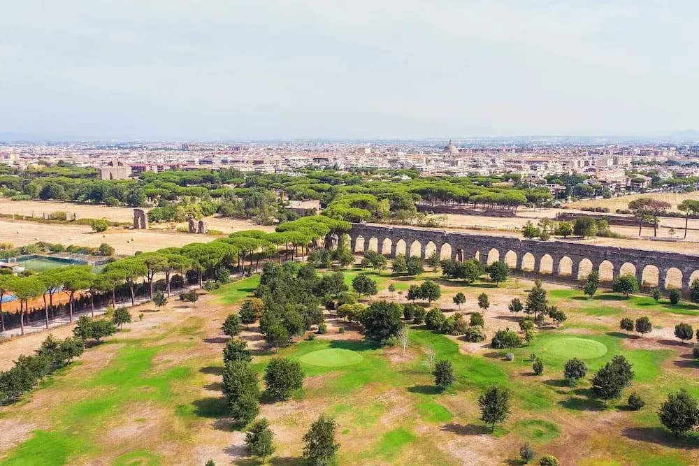 Pampas Roma - photo 23