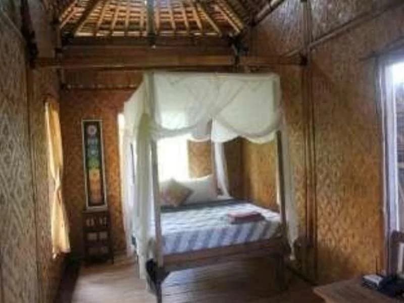 9th House - photo 2