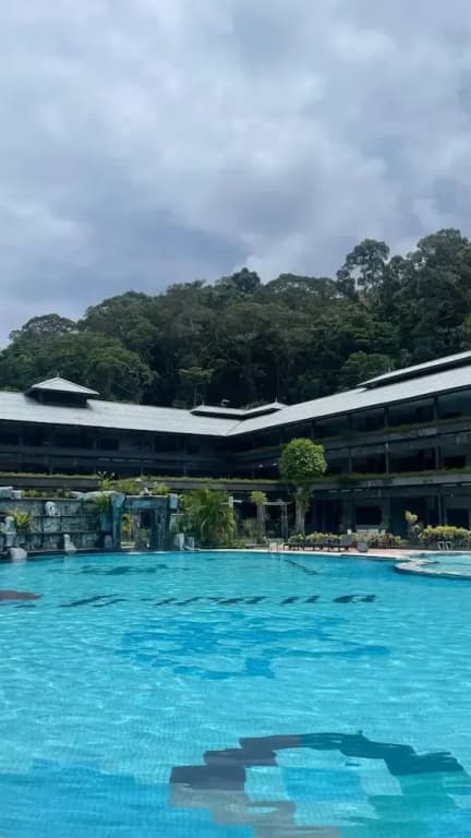 Arwana Perhentian Bluestar - photo 11