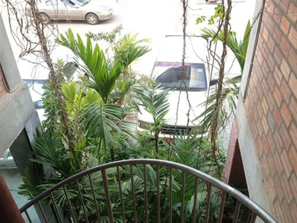 Naga Angkor Hostel - photo 12