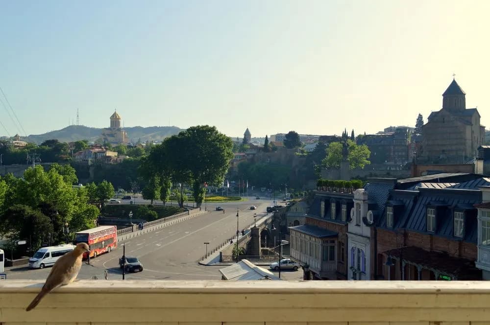 Millenium Apartment in Old Tbilisi - photo 13