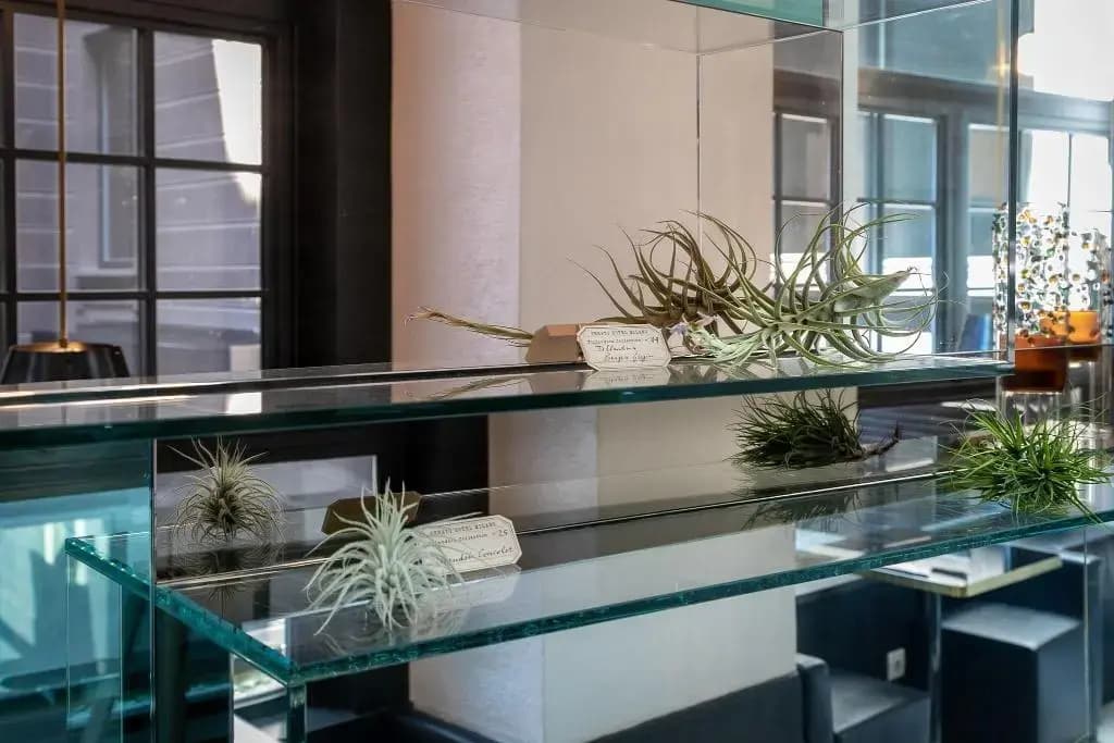 Senato Hotel Milano - photo 8