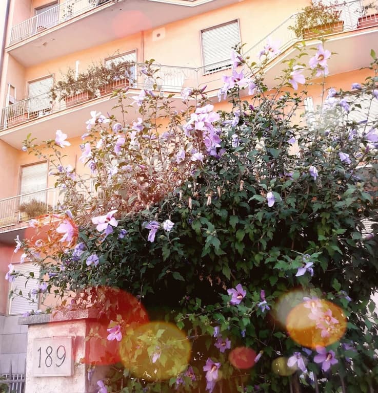 Bed & Breakfast Corso di Francia - photo 11