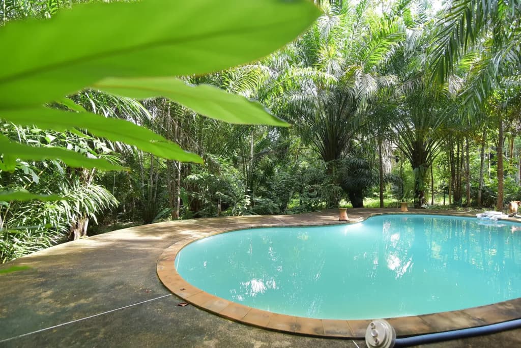 Ao Nang Pearl Resort - photo 11