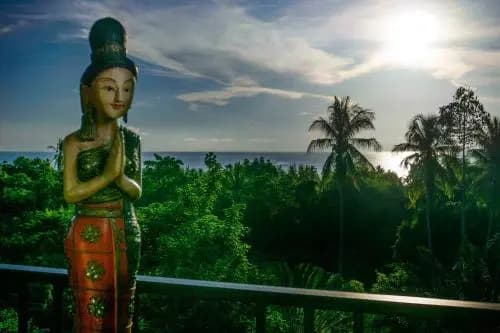 Butterfly Garden Villa - photo 19
