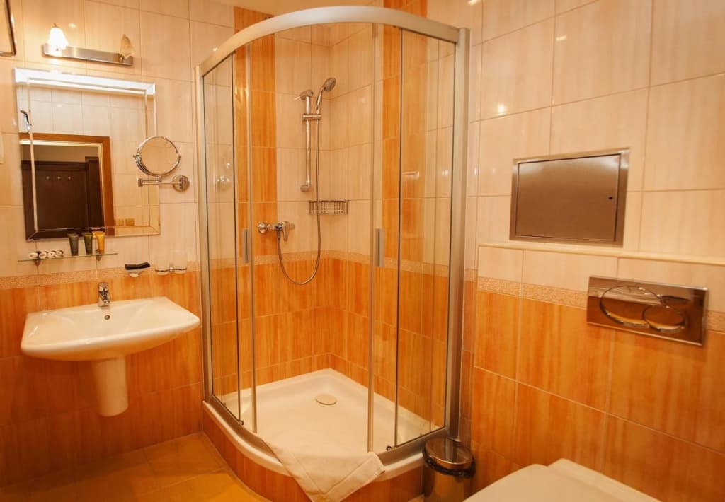 Hotel Askania - photo 10