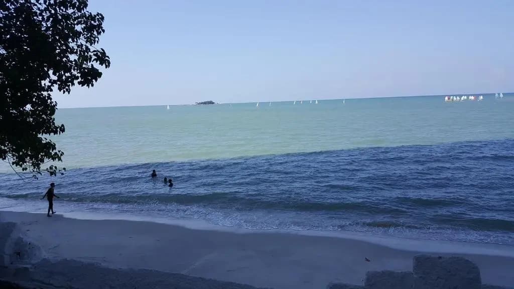 The Wave - photo 15
