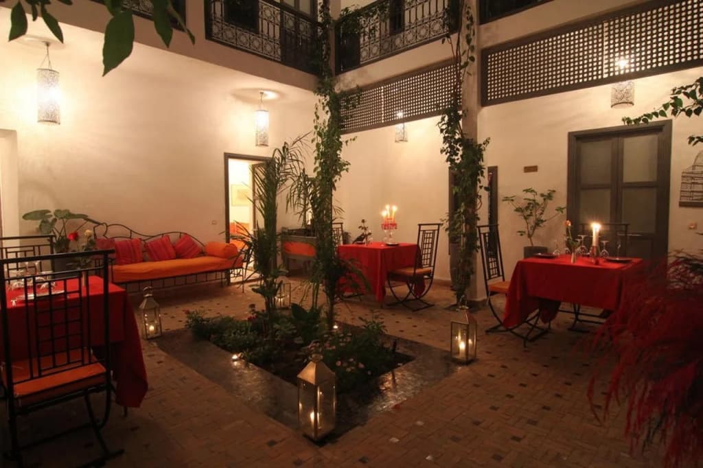 Riad Nafora - photo 10