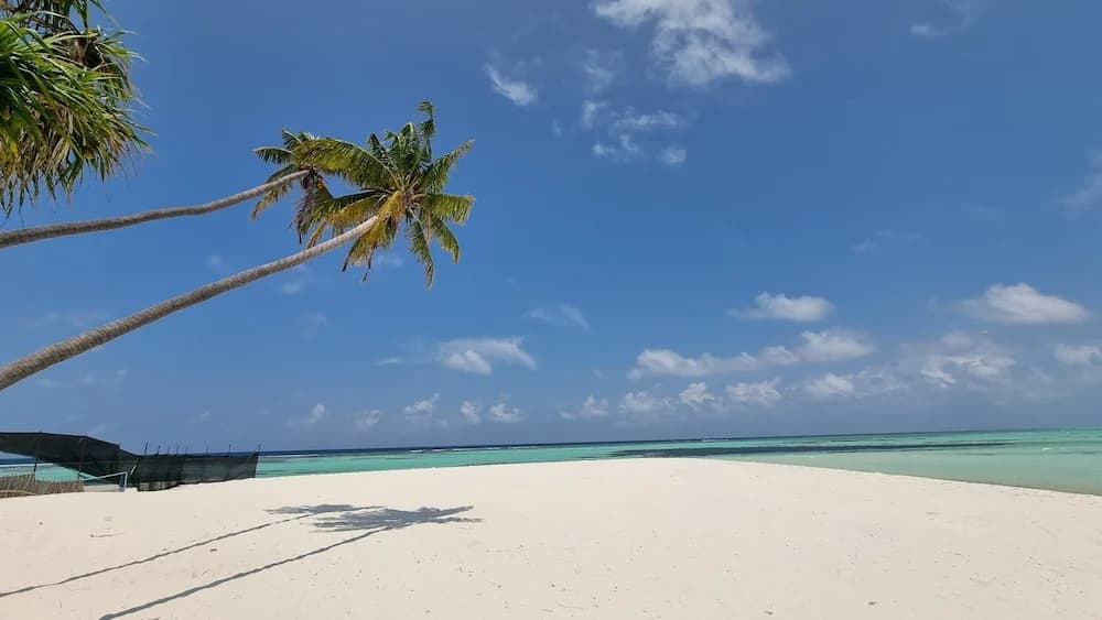 Sunset Beach View - photo 9