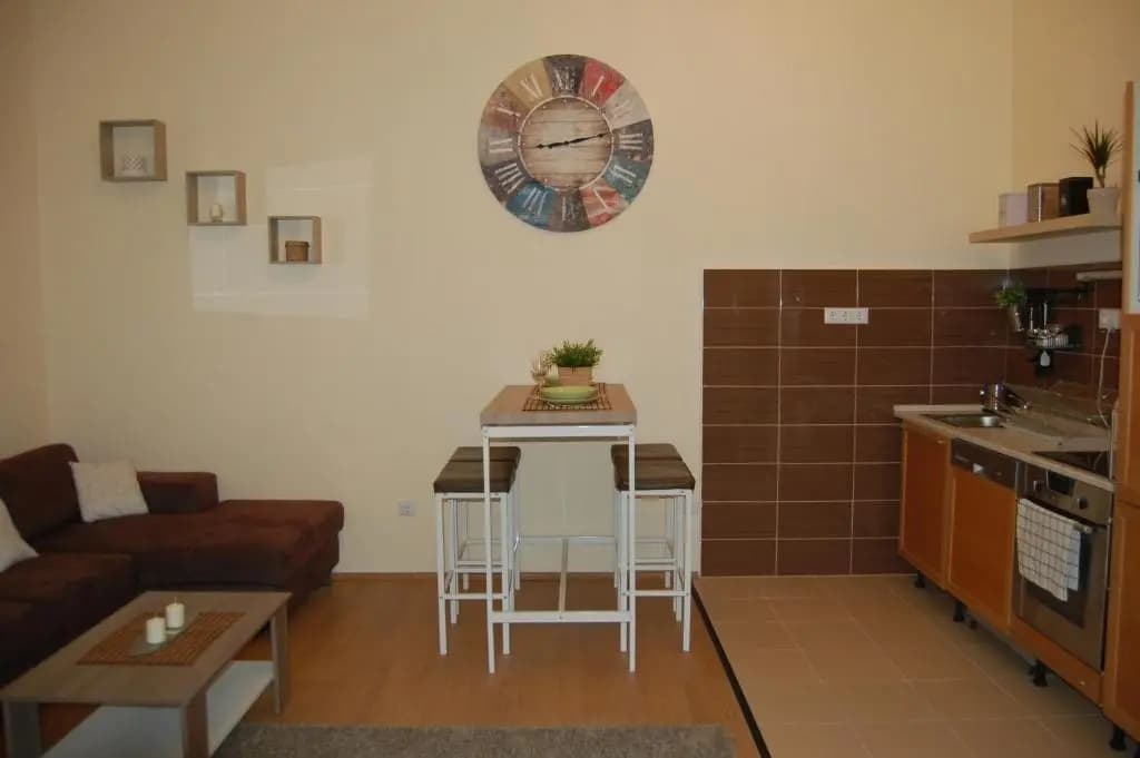 Central Luxury Residence - photo 10