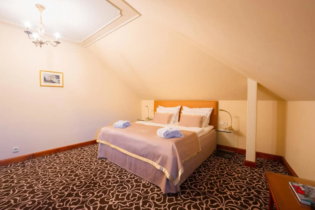 Chateau St. Havel - wellness Hotel - photo 2