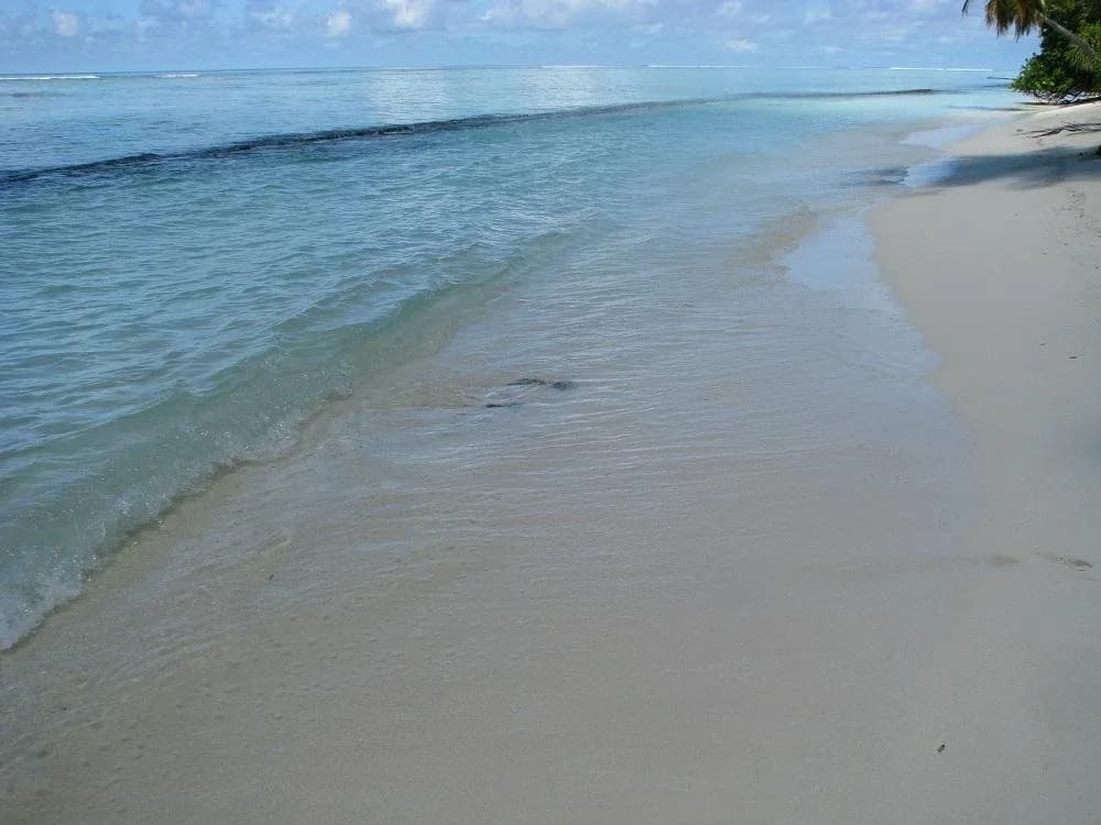Apquo Veli Hotel Nilandhoo - photo 10