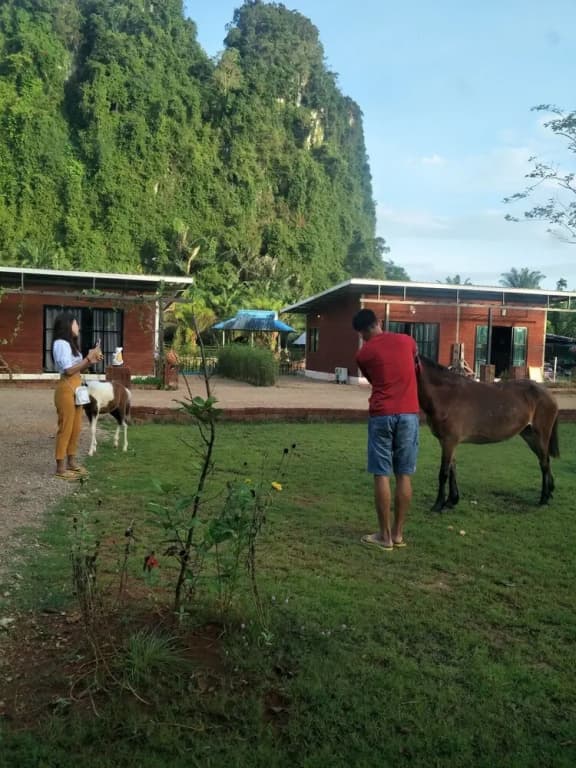 Villa Ban Tanay - photo 9