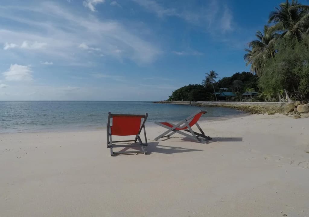 Dolphin Bay Beach Resort - photo 4