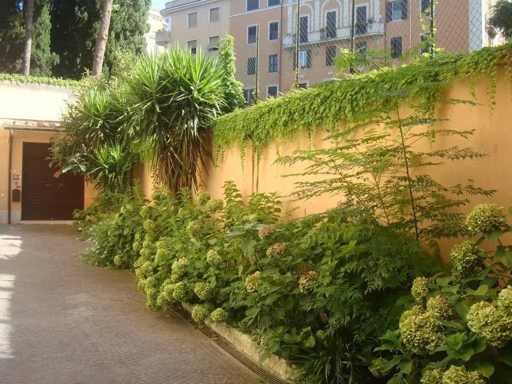BB Tuscolo - photo 1
