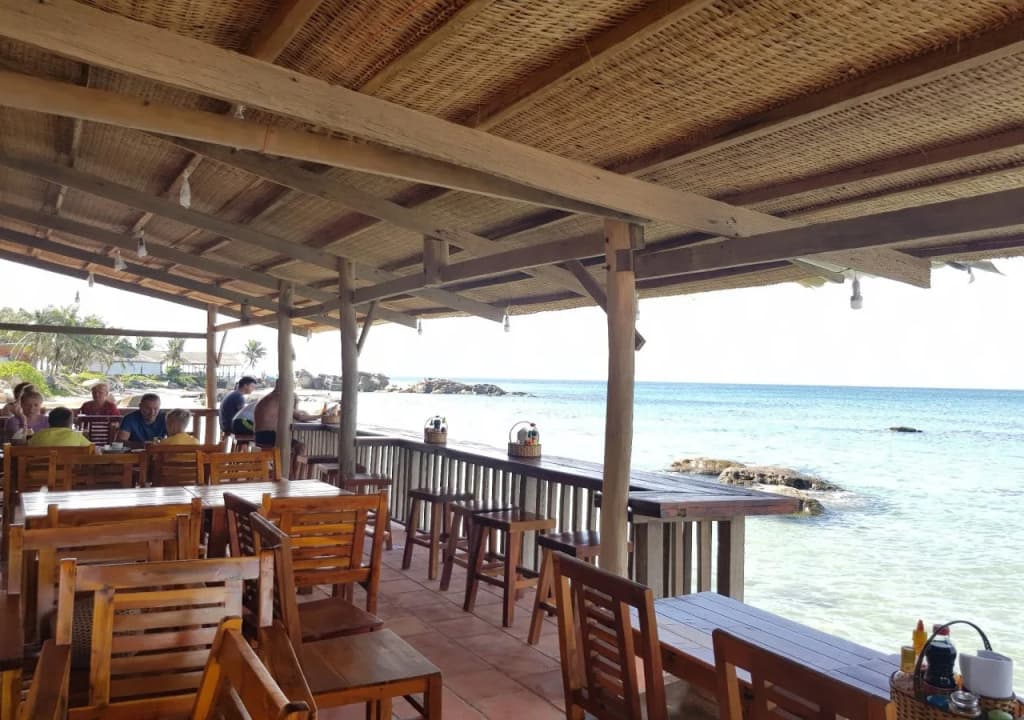 Free Beach Resort - photo 20