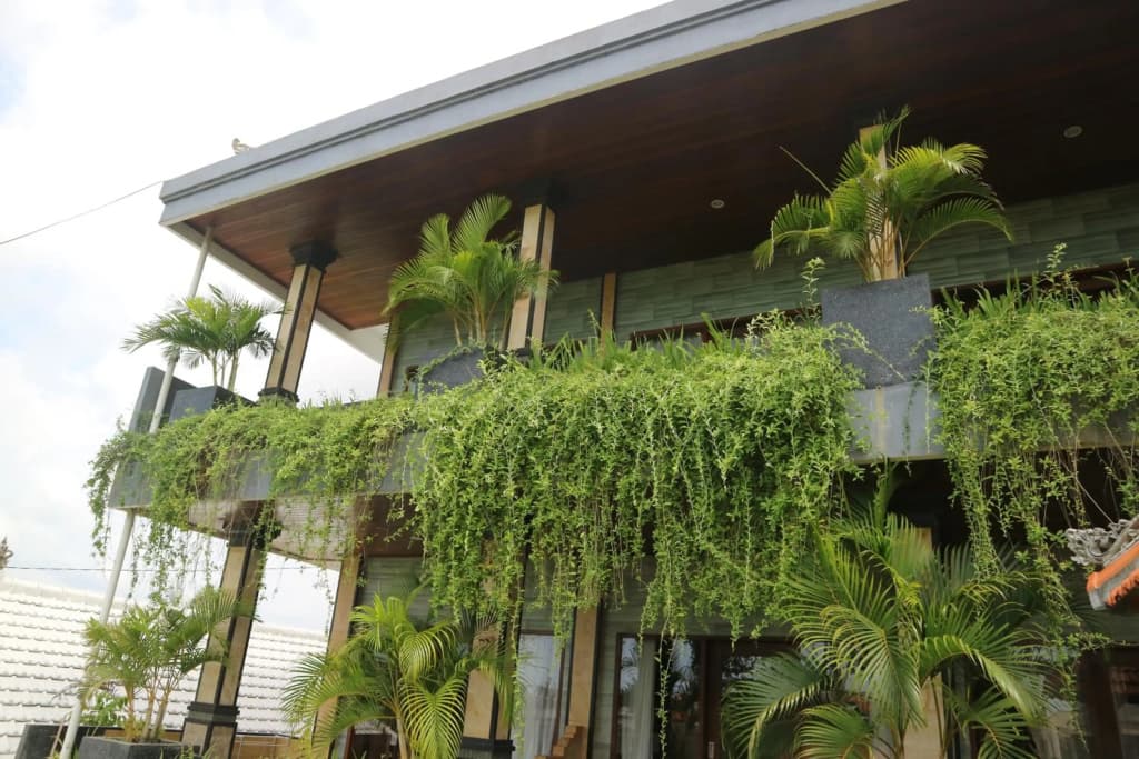 Bima Sakti Guest House - photo 16