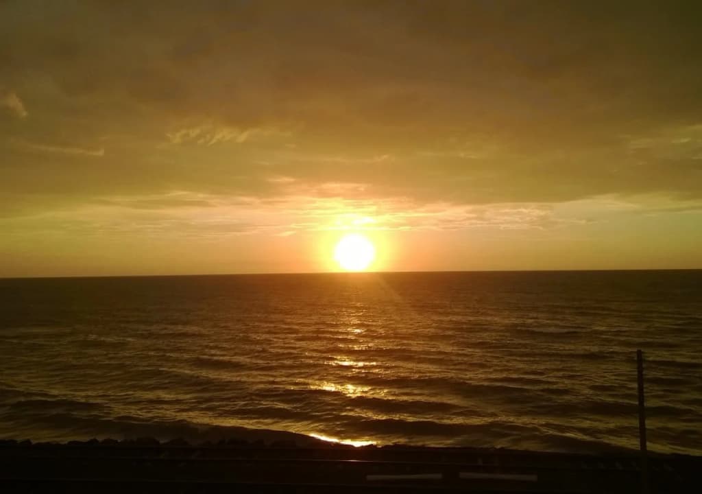 Coral Breeze Colombo - photo 11